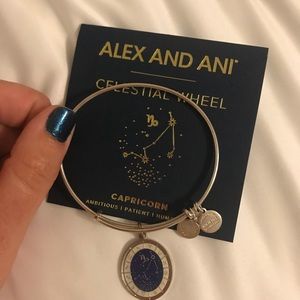 Alex and Ani Celestial Wheel Capricorn Bracelet